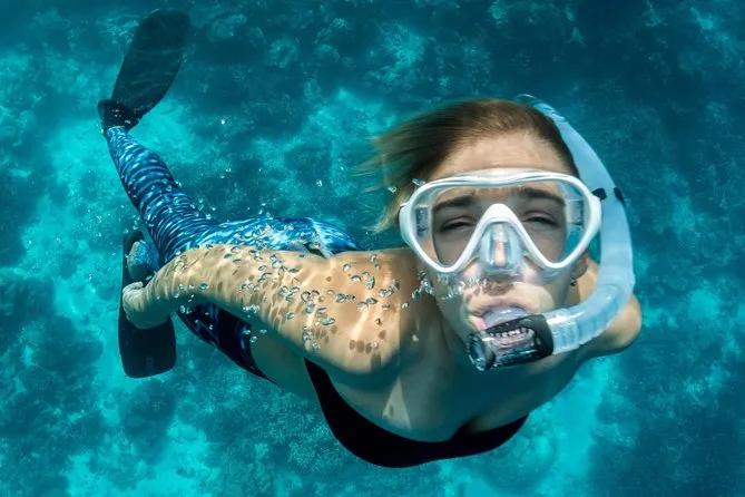 All-Day La Jolla Snorkel & Wetsuit Rental Review