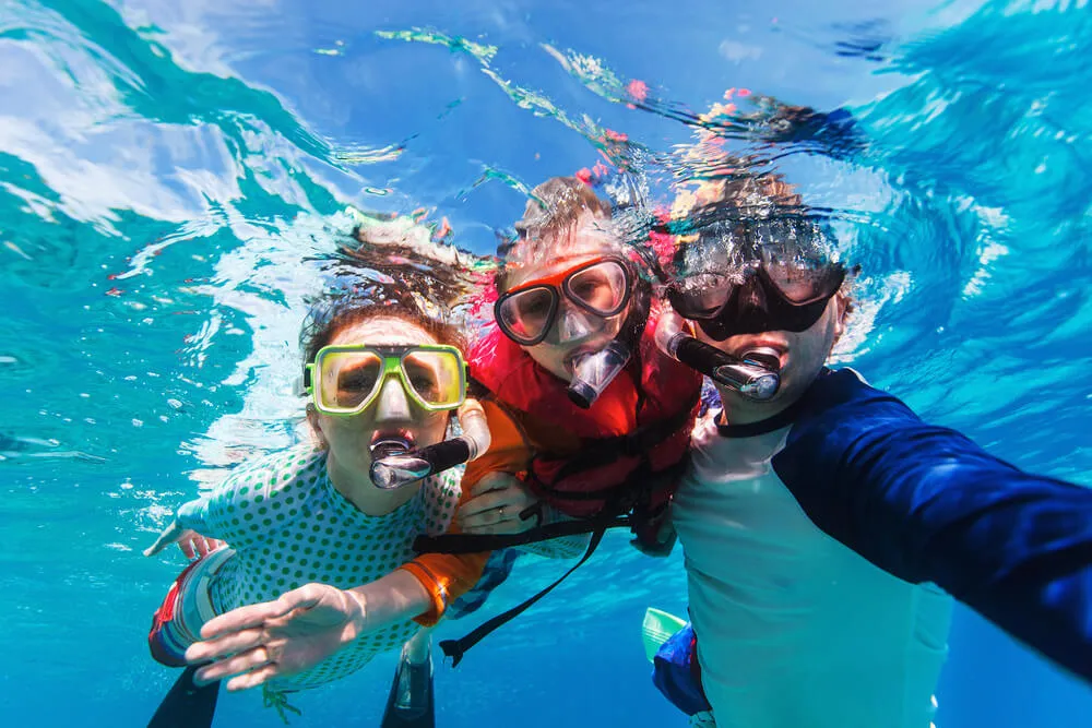 A snorkeler swimming with leopard sharks at La Jolla Cove San Diego in the clear blue Pacific